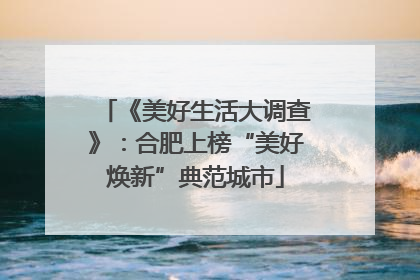 《美好生活大调查》：合肥上榜“美好焕新”典范城市