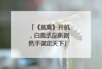 《莫离》开机，白鹿丞磊新剧携手谋定天下