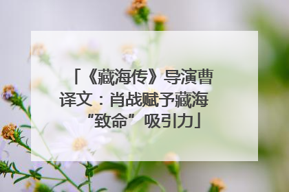 《藏海传》导演曹译文：肖战赋予藏海“致命”吸引力