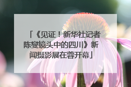 《见证！新华社记者陈燮镜头中的四川》新闻摄影展在蓉开幕