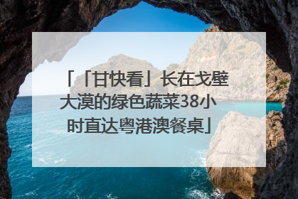 「甘快看」长在戈壁大漠的绿色蔬菜38小时直达粤港澳餐桌