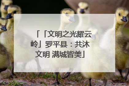 「文明之光耀云岭」罗平县：共沐文明 满城皆美