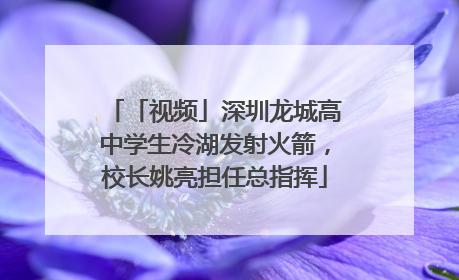「视频」深圳龙城高中学生冷湖发射火箭，校长姚亮担任总指挥