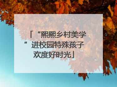 “熙熙乡村美学”进校园特殊孩子欢度好时光