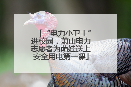 “电力小卫士”进校园，萧山电力志愿者为萌娃送上安全用电第一课
