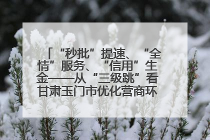 “秒批”提速、“全情”服务、“信用”生金——从“三级跳”看甘肃玉门市优化营商环境的进阶之路