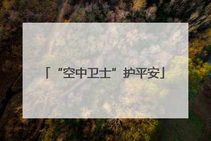 “空中卫士”护平安