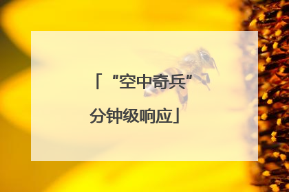 “空中奇兵”分钟级响应