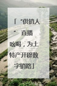 “供销人” 直播 吆喝，为土特产开辟数字销路