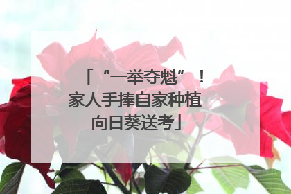 “一举夺魁”！家人手捧自家种植向日葵送考