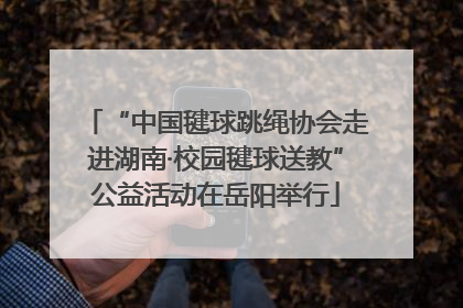 “中国毽球跳绳协会走进湖南·校园毽球送教”公益活动在岳阳举行