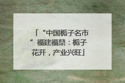 “中国栀子名市”福建福鼎：栀子花开，产业兴旺