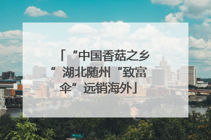 “中国香菇之乡”湖北随州“致富伞”远销海外
