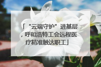 “云端守护”进基层，呼和浩特工会远程医疗精准触达职工