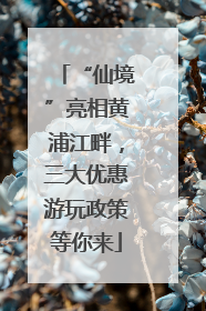 “仙境”亮相黄浦江畔，三大优惠游玩政策等你来