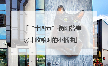 “十四五”·衡阳答卷③｜收粮时的小插曲