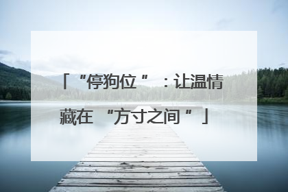 “停狗位 ”：让温情藏在 “方寸之间 ”