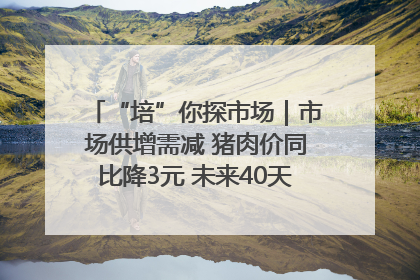 “培”你探市场｜市场供增需减 猪肉价同比降3元 未来40天便宜猪肉敞开吃