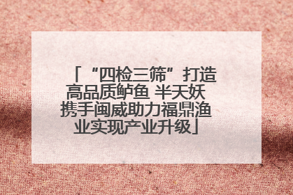 “四检三筛”打造高品质鲈鱼 半天妖携手闽威助力福鼎渔业实现产业升级
