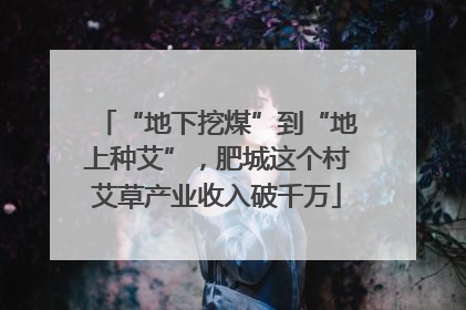 “地下挖煤”到“地上种艾”，肥城这个村艾草产业收入破千万