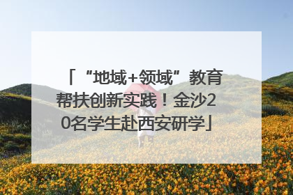 “地域+领域”教育帮扶创新实践！金沙20名学生赴西安研学