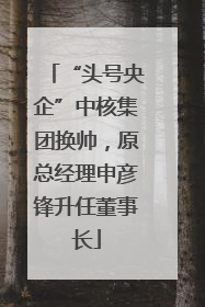 “头号央企”中核集团换帅，原总经理申彦锋升任董事长