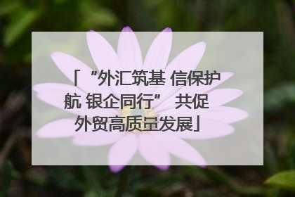 “外汇筑基 信保护航 银企同行” 共促外贸高质量发展