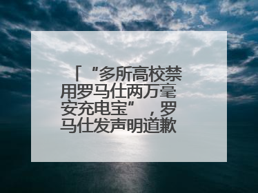 “多所高校禁用罗马仕两万毫安充电宝”，罗马仕发声明道歉：已展开核查