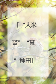 “大米哥”“慧”种田