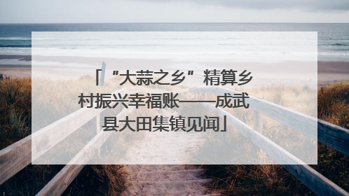 “大蒜之乡”精算乡村振兴幸福账——成武县大田集镇见闻