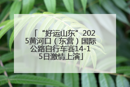 “好运山东”2025黄河口（东营）国际公路自行车赛14-15日激情上演