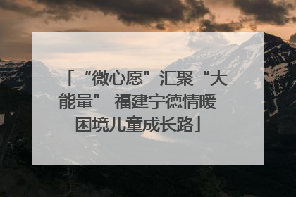 “微心愿”汇聚“大能量” 福建宁德情暖困境儿童成长路