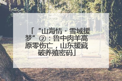 “山海情・雪域援梦”②：鲁中肉羊高原零伤亡，山东援藏破养殖密码