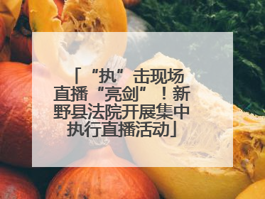“执”击现场 直播“亮剑”！新野县法院开展集中执行直播活动