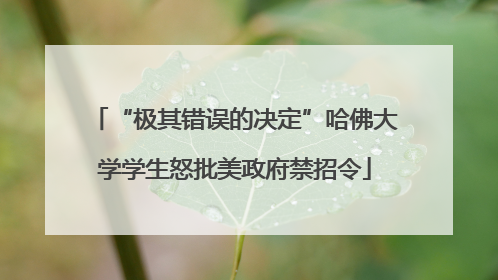 “极其错误的决定”哈佛大学学生怒批美政府禁招令