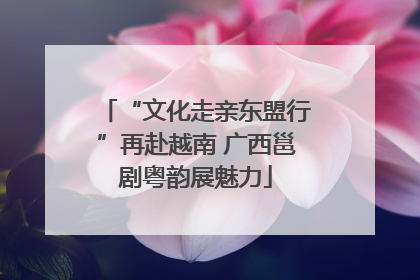 “文化走亲东盟行”再赴越南 广西邕剧粤韵展魅力