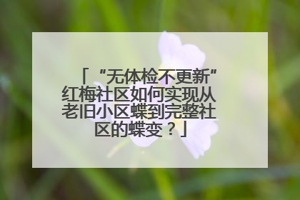 “无体检不更新”红梅社区如何实现从老旧小区蝶到完整社区的蝶变？