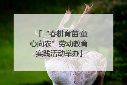 “春耕育苗·童心向农”劳动教育实践活动举办