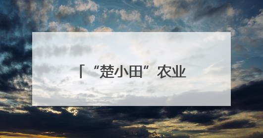 “楚小田”农业生态链品牌发布