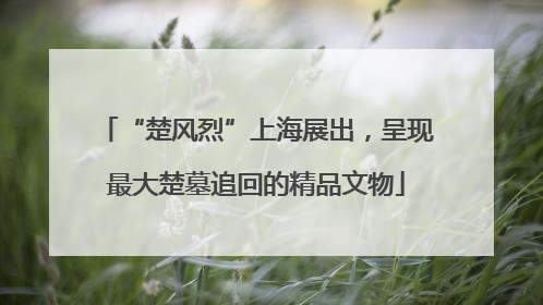 “楚风烈”上海展出，呈现最大楚墓追回的精品文物