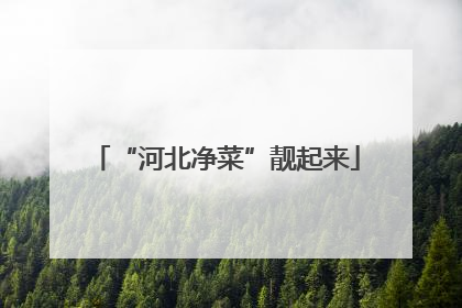 “河北净菜”靓起来