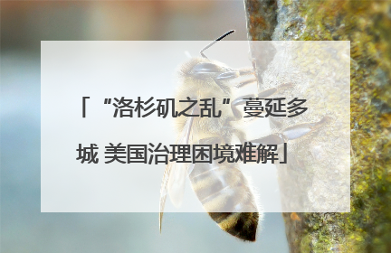 “洛杉矶之乱”蔓延多城 美国治理困境难解