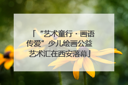 “艺术童行・画语传爱”少儿绘画公益艺术汇在西安落幕
