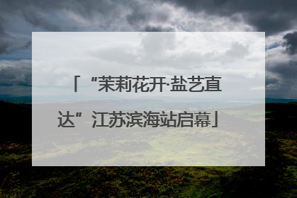 “茉莉花开·盐艺直达”江苏滨海站启幕