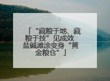 “藏粮于地、藏粮于技”见成效 盐碱滩涂变身“黄金粮仓”
