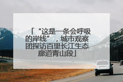 “这是一条会呼吸的岸线”，城市观察团探访百里长江生态廊道青山段
