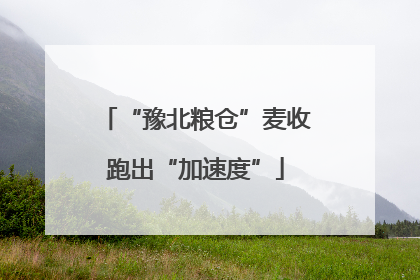 “豫北粮仓”麦收跑出“加速度”