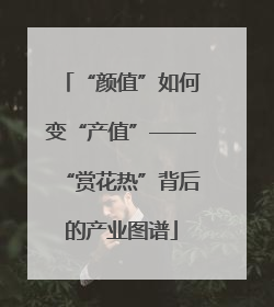 “颜值”如何变“产值”——“赏花热”背后的产业图谱
