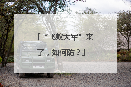 “飞蚁大军”来了，如何防？
