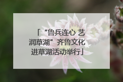 “鲁兵连心 艺润草湖”齐鲁文化进草湖活动举行